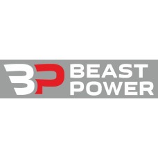 Генератор Beast Power на Focus 3 320A (под титанат с регулятором)