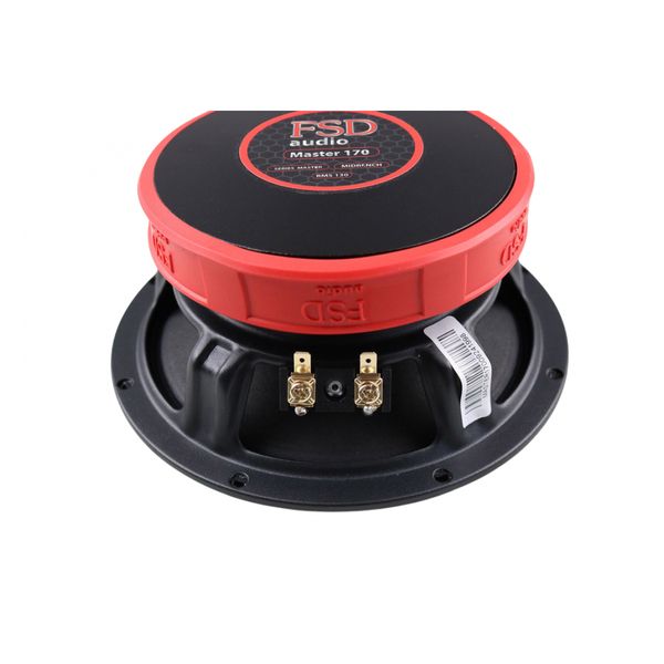 Акустика FSD Audio Master 170