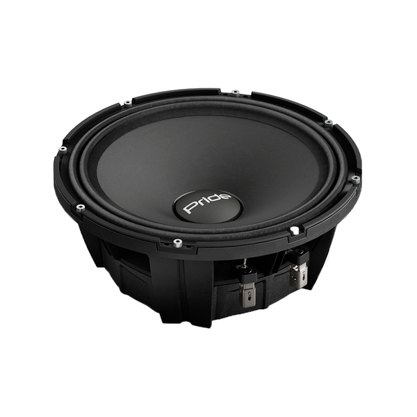 Акустика Pride Solo 400 NEO 10