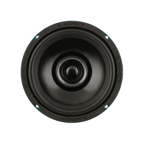 Акустика Aspect CWS-65