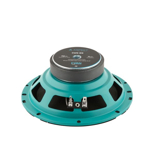 Акустика Aspect CWS-65