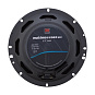 Акустика Morel Maximo COAX 6 MkII