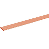 Медная шина 25*5 10см.