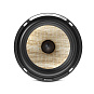 Акустика Focal Flax EVO PS 165 FXE