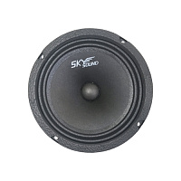 Акустика Sky Sound Colibri SSC-65